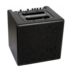 AER Acoustic Guitar Amps*Alpha 40-watt 1x8-inch Acoustic Instrument Combo Amplifier