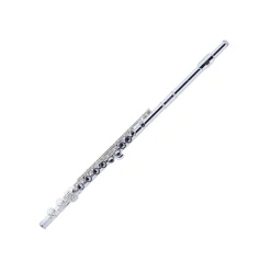 Armstrong Flutes & Piccolos*- 104 USA-made Student Flute with case