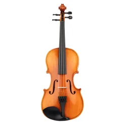 Beale Violins*BV134 Violin Standard 3/4 Size Outfit
