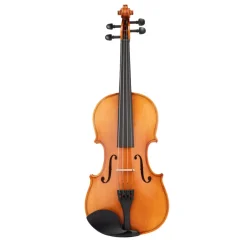 Beale Violins*BV144 Violin Standard 4/4 Size Outfit
