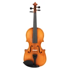 BV114 Violin Standard 1/4 Size Outfit>Beale Online