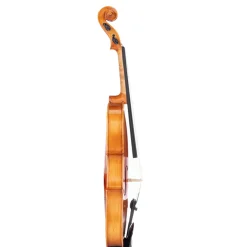 Beale Violins*BV144 Violin Standard 4/4 Size Outfit