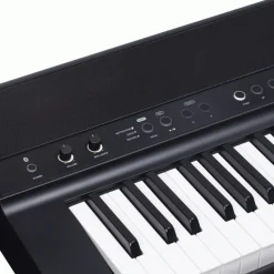 Beale Keyboards*DP600BT Digital Piano w/ Bluetooth