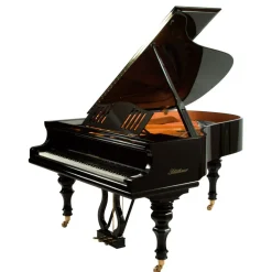 - Model S6 - Ebony Polish>Blüthner Outlet