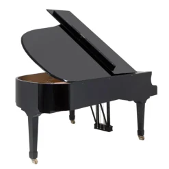 - The Model 4 - Ebony Polish><noscript><img width=