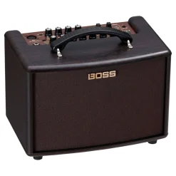AC-22LX Acoustic Amplifier>Boss Clearance