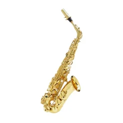 Buffet Saxophones*100 Series Alto Sax