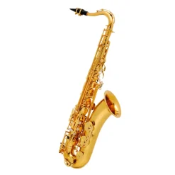 Buffet Saxophones*100 Series Tenor Sax