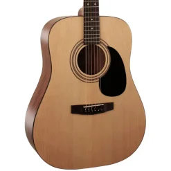 CAP810 Guitar Pack>Cort Outlet