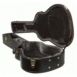 - Acoustic AJ/Dreadnought Hard Case>Epiphone Outlet