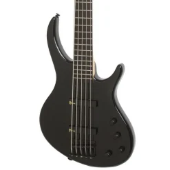 Toby Deluxe-V Bass-Ebony Gloss 5 String>Epiphone Online