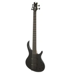 Toby Deluxe-V Bass-Ebony Gloss 5 String>Epiphone Online