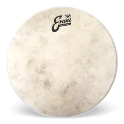10" Calftone>Evans Sale