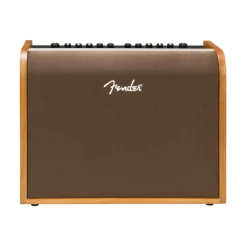 Acoustic 100 Guitar Amplifier>Fender Hot