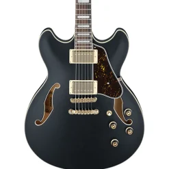 - AS73G Artcore Electric - Black Flat>Ibanez New