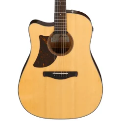 AAD170LCE Advanced Left-Handed Acoustic/Electric Guitar - Natural Low Gloss>Ibanez New