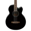 Ibanez Hollow Body*AEB8EBK Acoustic Bass