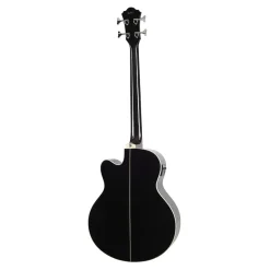 Ibanez Hollow Body*AEB8EBK Acoustic Bass