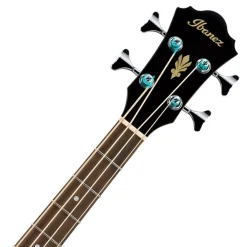 Ibanez Hollow Body*AEB8EBK Acoustic Bass