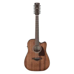 Ibanez 12 String*AW5412CE OPN Acoustic Guitar