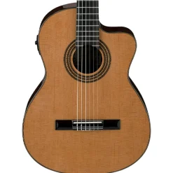Ibanez Classical Guitars*GA6CE AM Electric Guitar