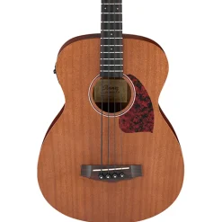 Ibanez Acoustic Bass*PCBE12MH - Acoustic Bass