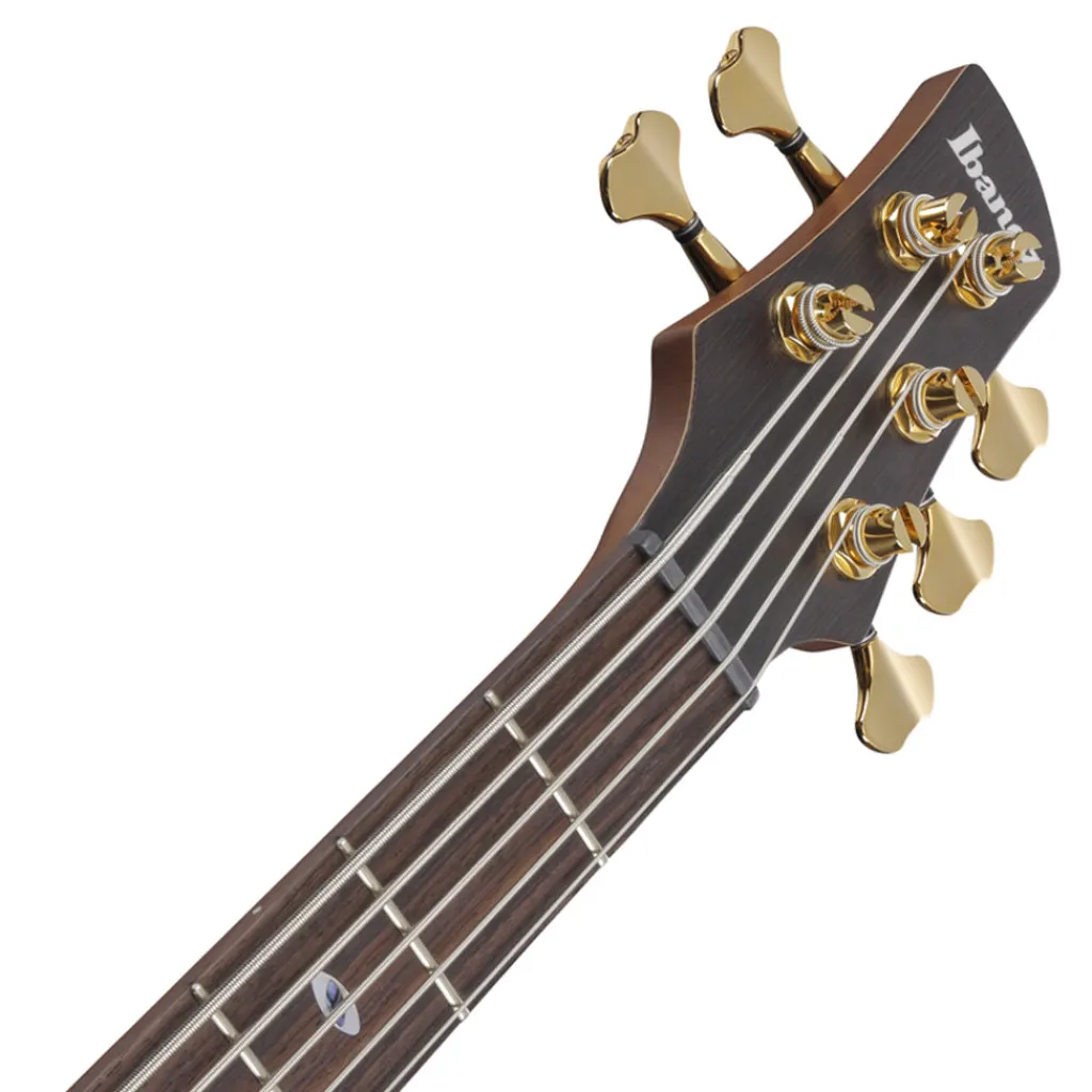 Ibanez 5 String*SR6605 5-String Bass Mappa Burl Top with Rosewood Fretboard and Case - Ghost Fleet Blue Burst