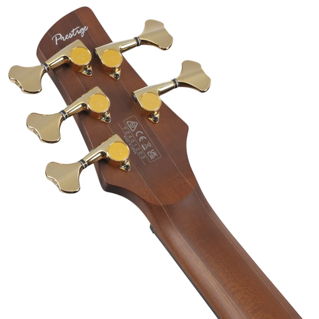 Ibanez 5 String*SR6605 5-String Bass Mappa Burl Top with Rosewood Fretboard and Case - Ghost Fleet Blue Burst