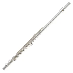 Jupiter Flutes & Piccolos*JFL1000RBE Flute 1000 Series with Split E B Foot