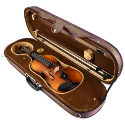 - HDV31 4/4 Size Violin with bow and foam case><noscript><img width=