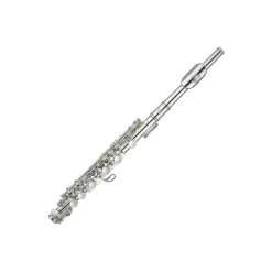 - Piccolo Flute with Case>Knight Hot