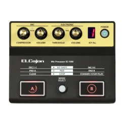 Roland Signal Processing*El-Cajon Mic Processor