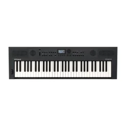 GO:KEYS 5 Graphite>Roland Hot