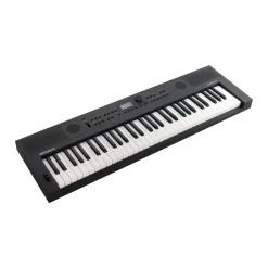 GO:KEYS 5 Graphite>Roland Hot