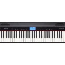 GO:Piano Black>Roland Hot