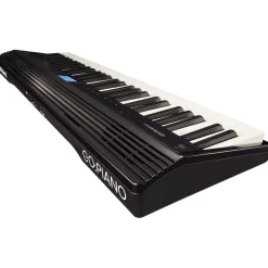 GO:Piano Black>Roland Hot