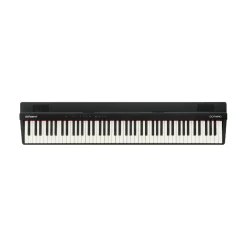 GO:PIANO88 PX 88-Key Music Creation Keyboard>Roland New