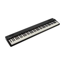 GO:PIANO88 PX 88-Key Music Creation Keyboard>Roland New