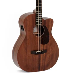 BMC-15E Acoustic Bass>Sigma Outlet
