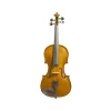 Student I 1/2 Size Violin - Mid Chestnut>Stentor Best