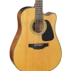 GD30CE-12NAT 12 String Acoustic Guitar>Takamine Clearance