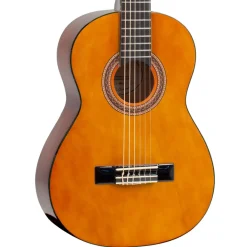 100 Series 3/4 Classical Guitar>Valencia Clearance