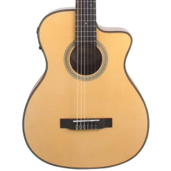 430 Series 4/4 Nylon Acoustic with Pickup>Valencia Discount