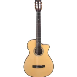 430 Series 4/4 Nylon Acoustic with Pickup>Valencia Discount